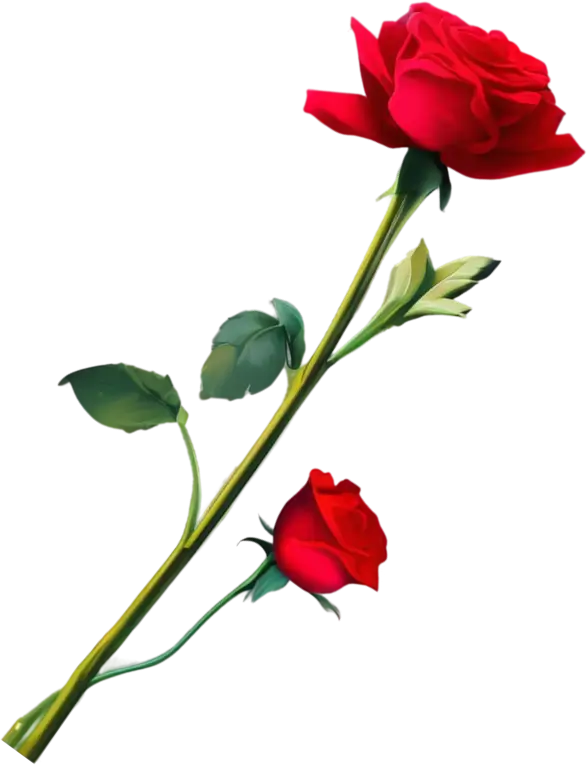rose stem.webp